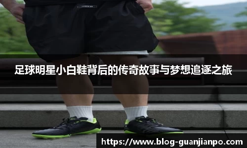 足球明星小白鞋背后的传奇故事与梦想追逐之旅