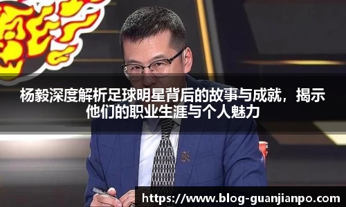 杨毅深度解析足球明星背后的故事与成就,揭示他们的职业生涯与个人魅力